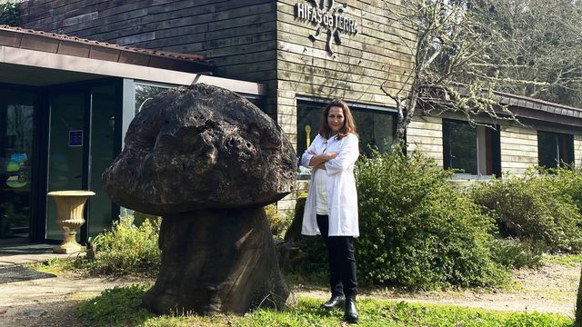 La suplementación con hongos es lo último en belleza