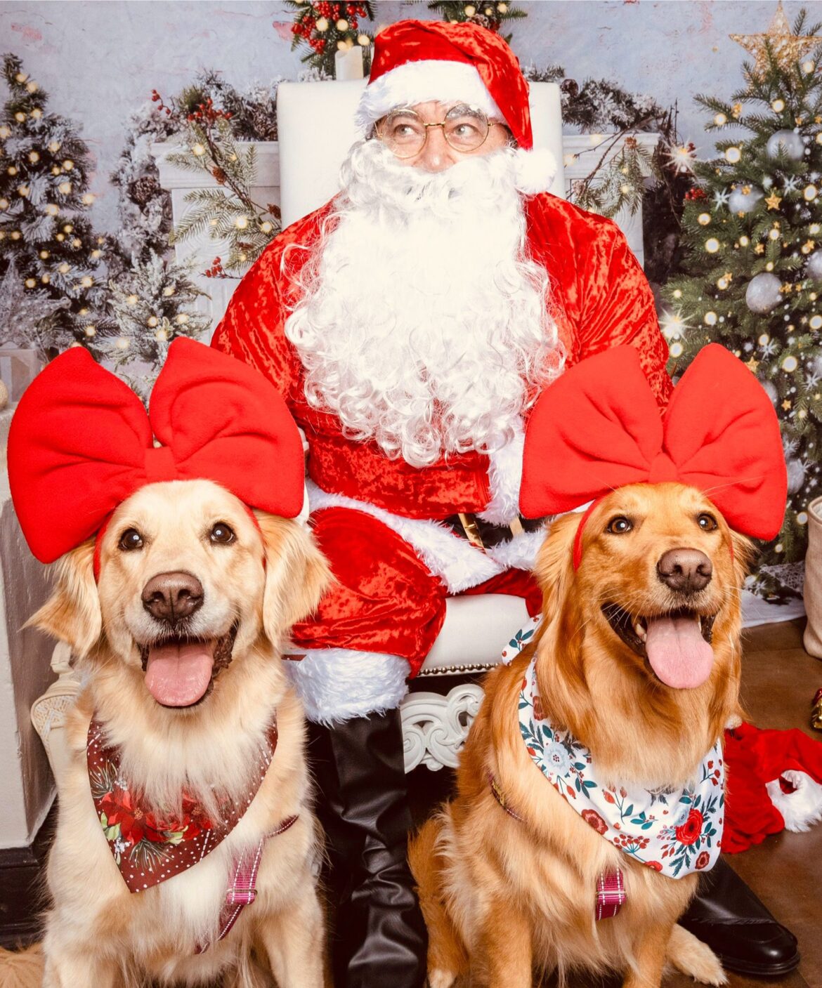 PAWS IN TOWN BARZAAR MARKET DESAYUNO CON SANTA PAWS