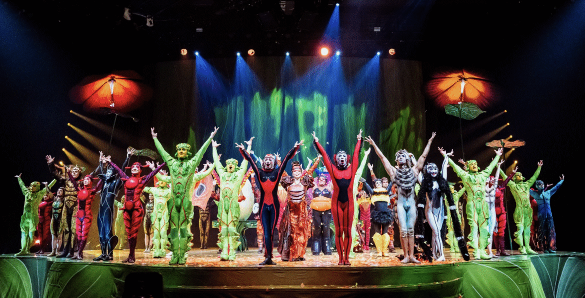 La magia renovada de OVO: Cirque du Soleil regresa a Miami y Sunrise con un espectáculo que desafía la imaginación