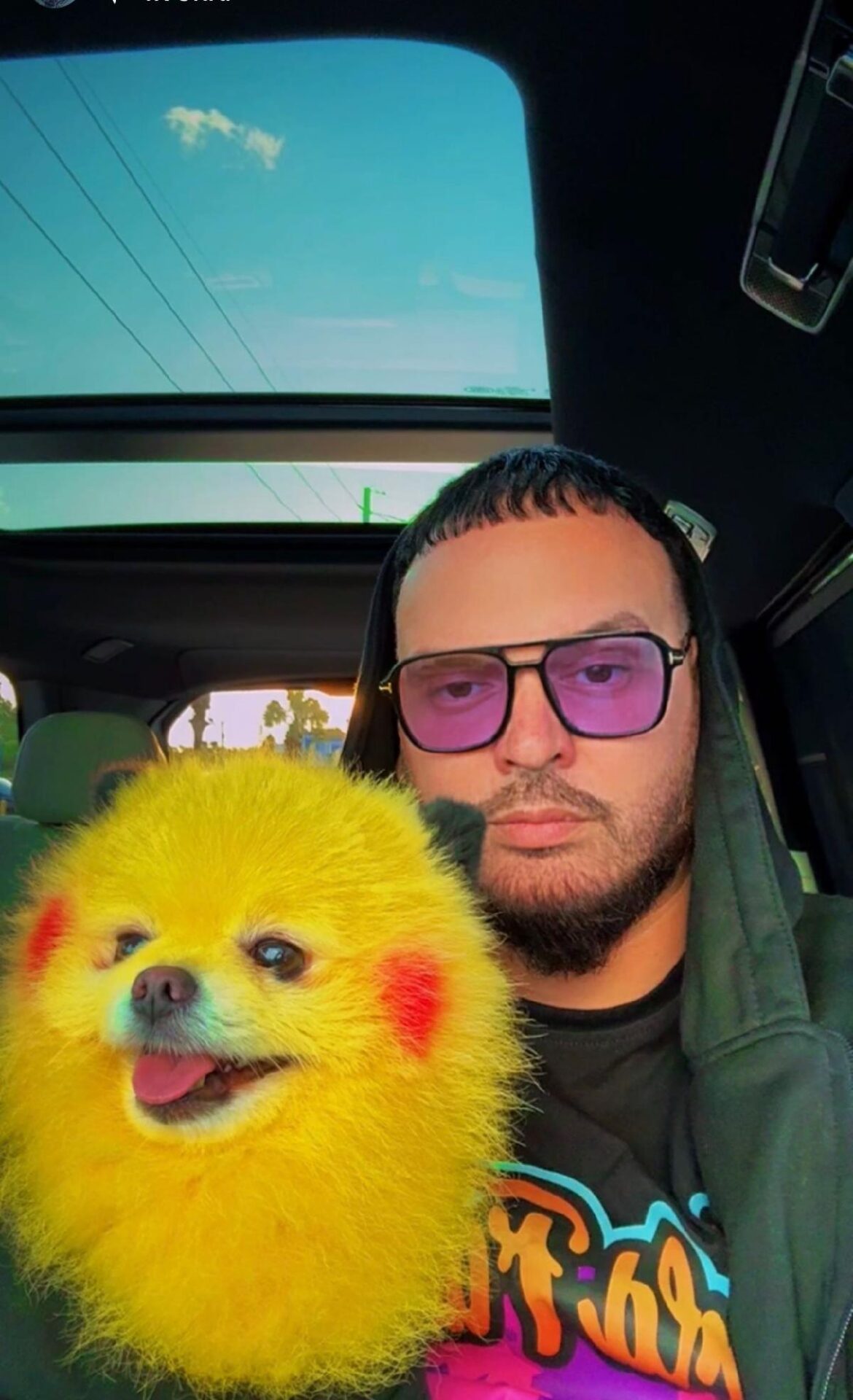 ERIK TORRES SOBREVIVE A UN INFARTO MASIVO GRACIAS A ZAZA (PIKACHU), EL PERRO VIRAL QUE CONQUISTÓ LAS REDES Y LE SALVÓ LA VIDA
